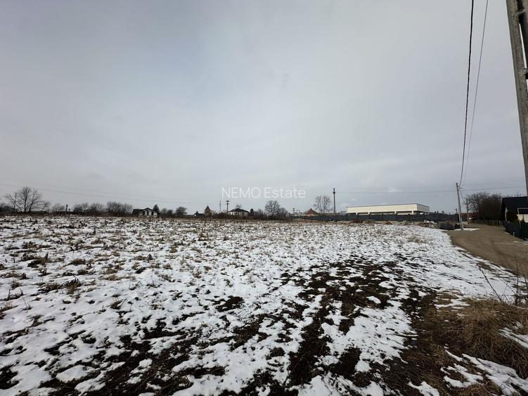 Teren intravilan | 61 ari | Parcelabil | Radauti - 7