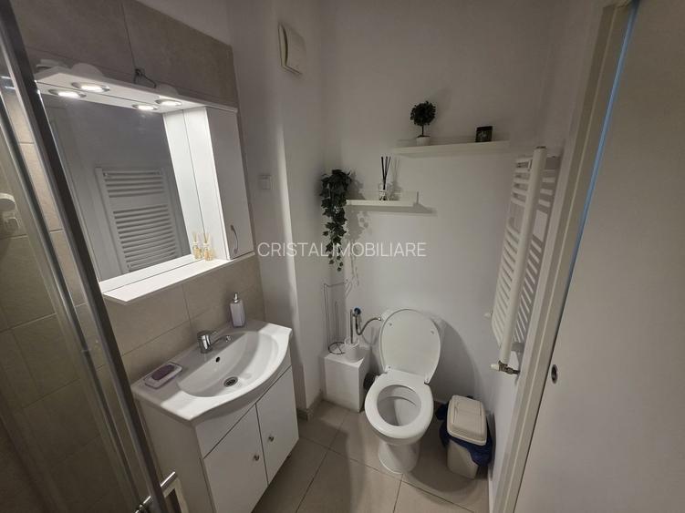 Garsonieră spațioasă de inchiriat , complet utilată, Bld. Timișoara - 8