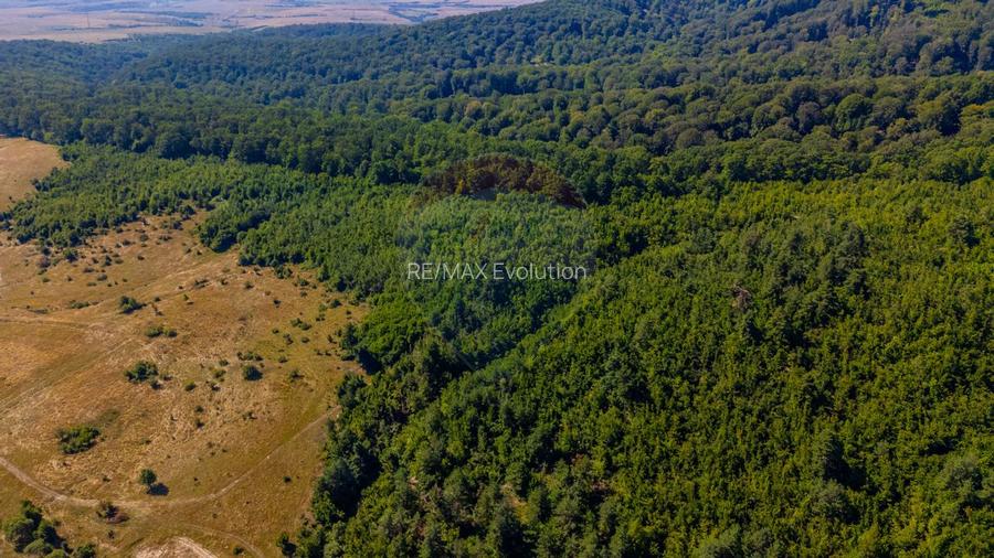 Teren 6,000mp Crizbav / Strada principala - 7