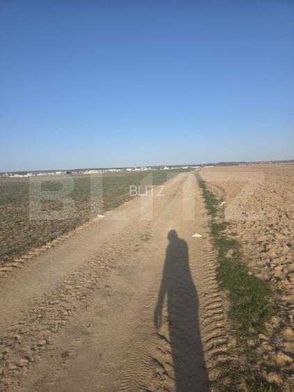 Teren intravilan, 5000 mp, zona Selgros, Preajba - 2