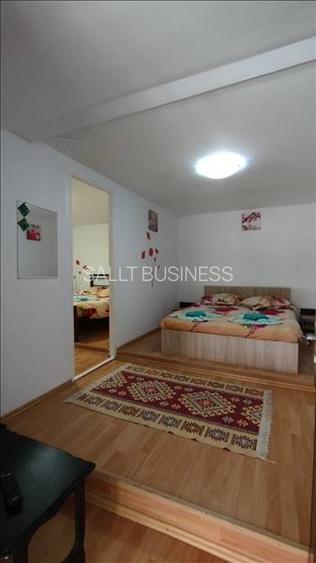 Pensiune in Sasca Montana - 8