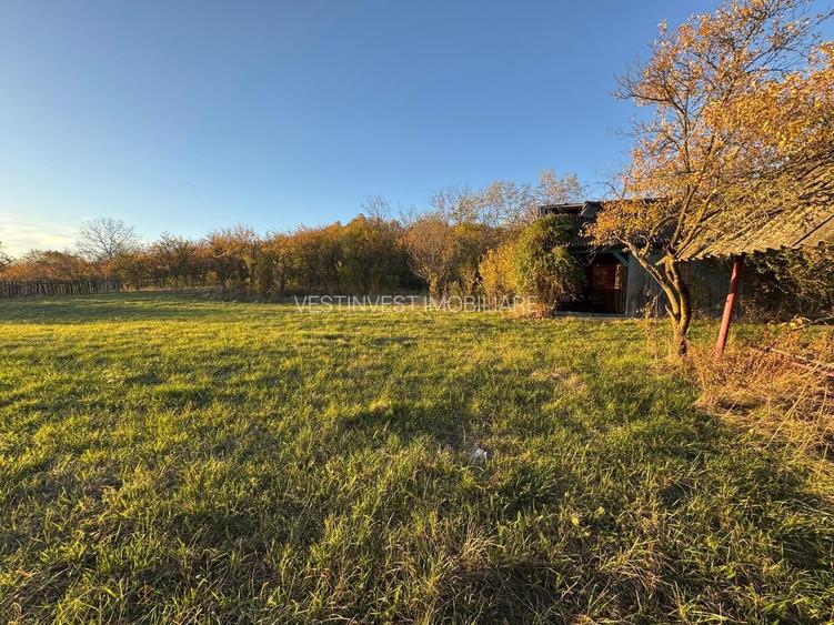 Teren intravilan 3323 Husasau de Cris - 5