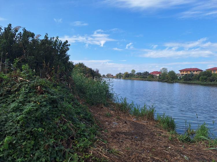 Teren intravilan Mogosoaia- 7 Loturi-Suprafata totala 5180 mp-Deschidere Lac - 5