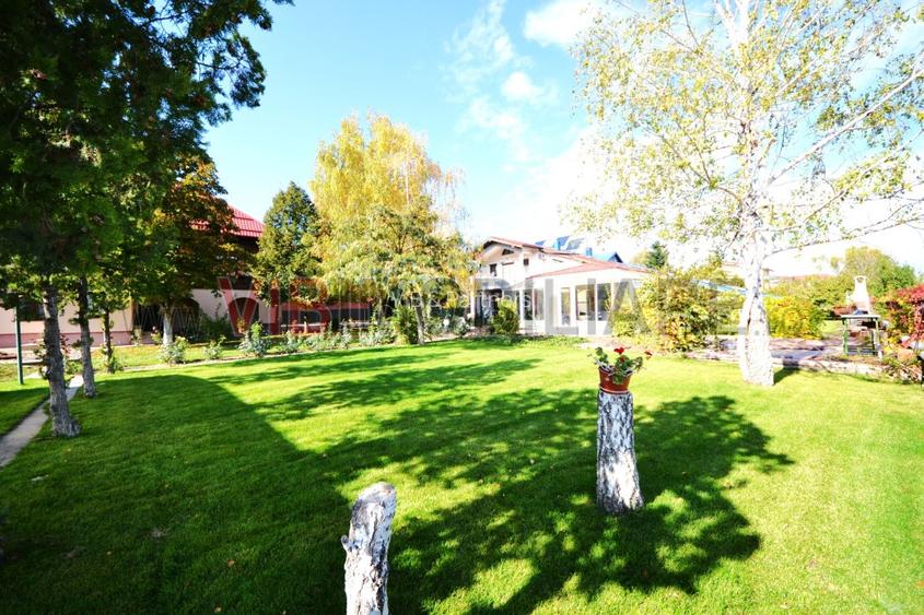 DOMENIU REZIDENȚIAL PRIVAT - Otopeni, Drumul Odaii - 5