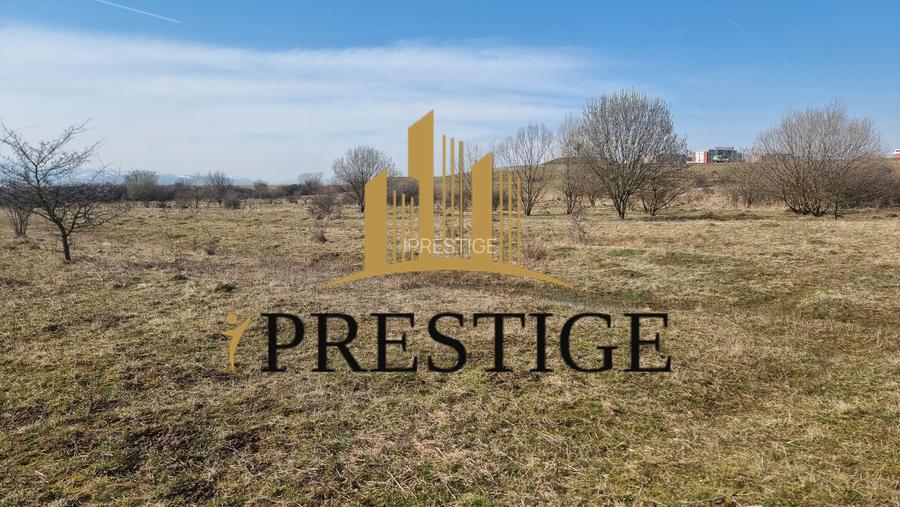 TEREN DE VÂNZARE 1000 MP ȘELIMBĂR ZONA TROIȚĂ | INVESTIȚIE - 10