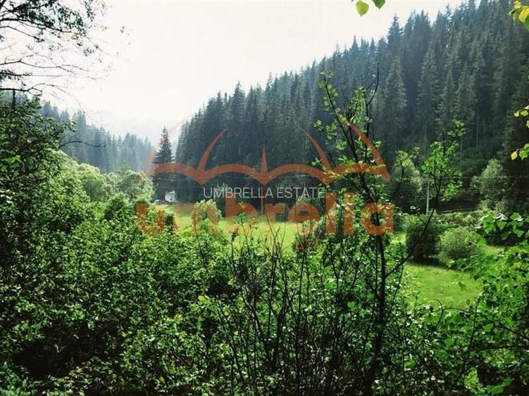 TEREN DE VANZARE 34.201m²/20€ m² IN VARSAG HARGHITA - 9