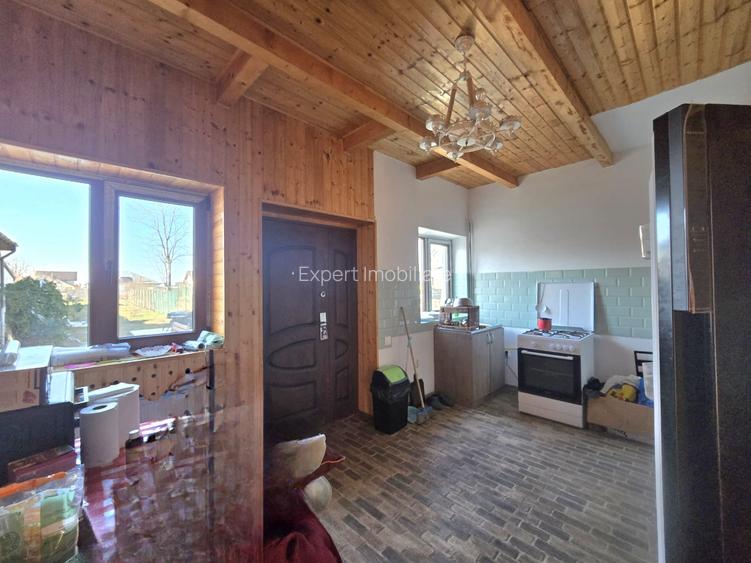 Casa de vacanta zona Cazasu - 3