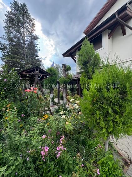 Vanzare vila lacul Baneasa - 23