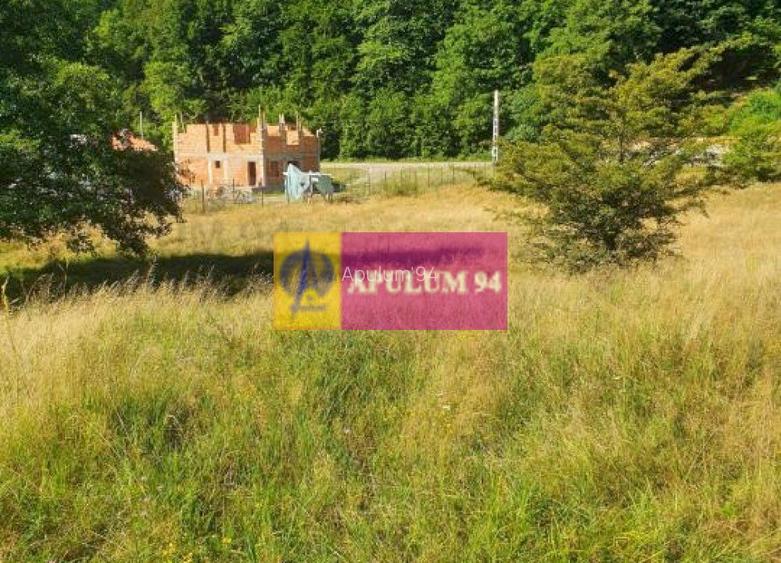 Teren Județul Vâlcea - Brezoi, Valea lui Stan - 34