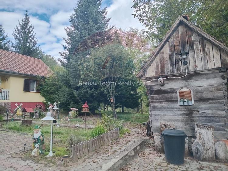 OCAZIE!!! CASA SUPERBA cu teren in JULITA jud Arad in M tii Zarandului - 20