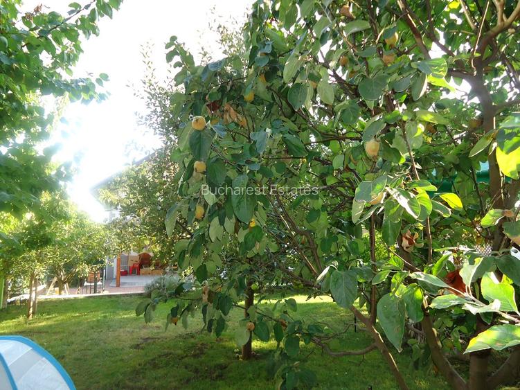 Vila piscina superba gradina matura cu iesire directa la padure - 28
