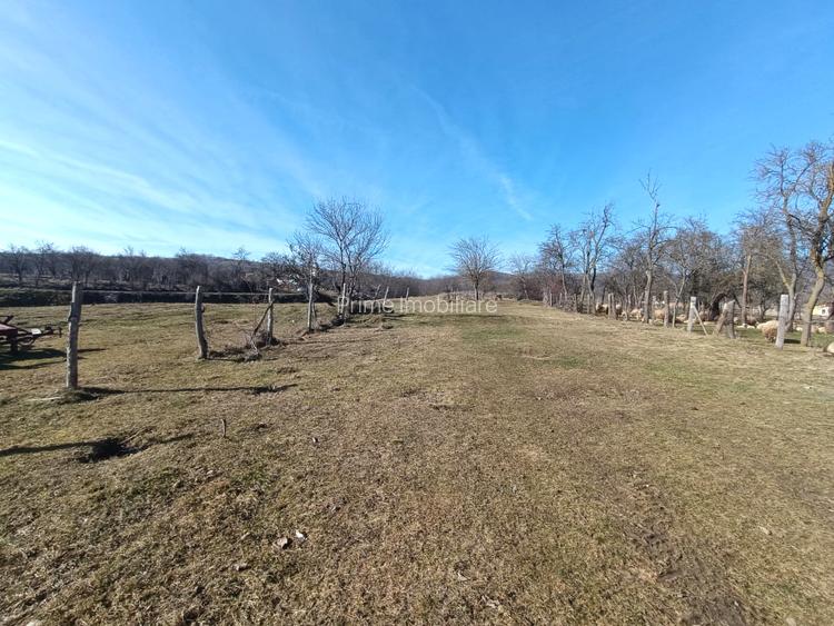 Teren Generos în Pâclișa – Intimitate și Natură la un pas de oraș - 2