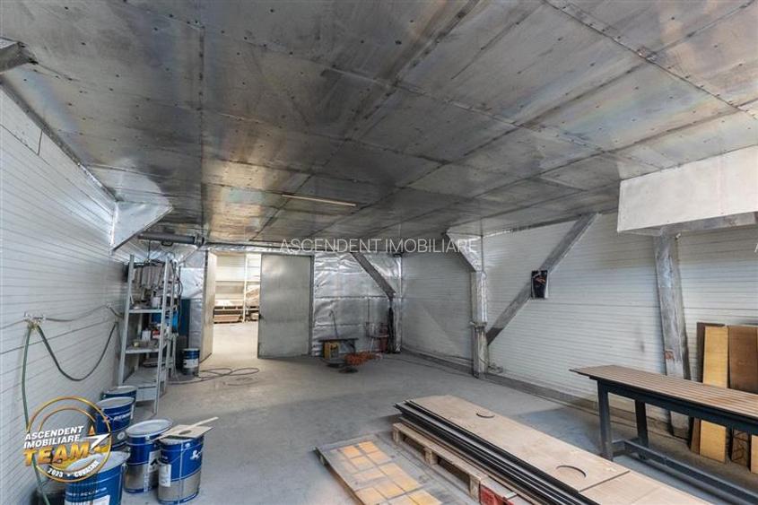 Complex industrial modern,acces dublu, potential apreciabil,Valea Crișului, - 18