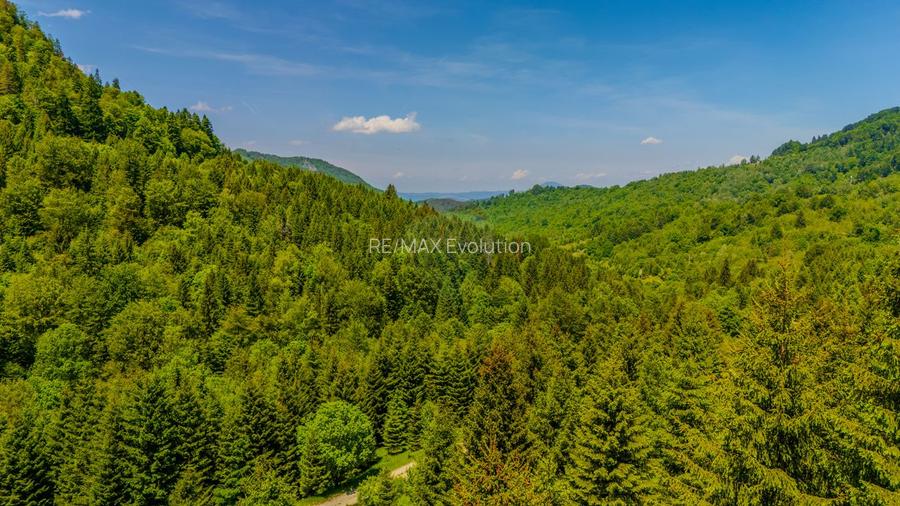 Teren extravlan 14,400mp Paraul Rece / Strada 3 brazi - 10