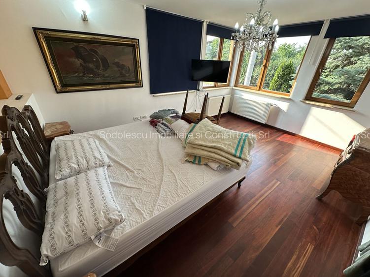 Proprietate cu piscina Dumbravita - 26