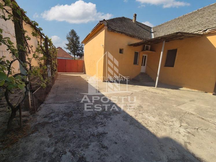 PROPRIETATE PREMIUM TEREMIA MARE - APOSTU ESTATE - 4