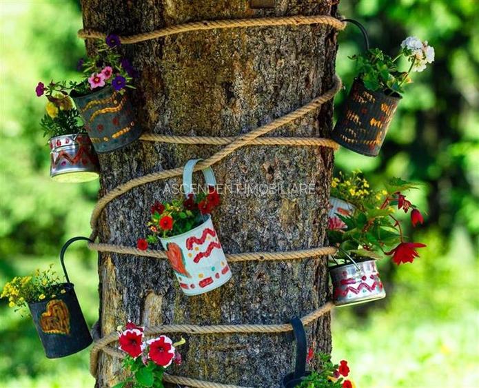 Complex turistic cu privelisti picturale,apa curativa,aer pur, o experienta de i - 35