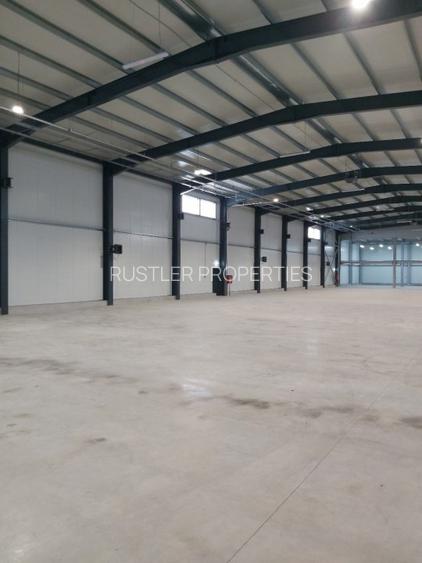 Spatiul industrial modern Stefanesti - 3