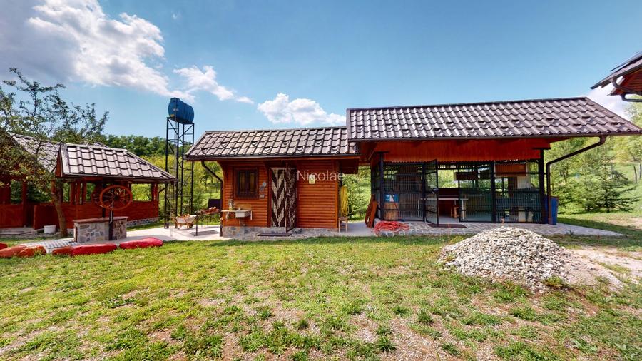 Proprietate unică în Piatra Doamnei – Corbi, Argeș  - 9