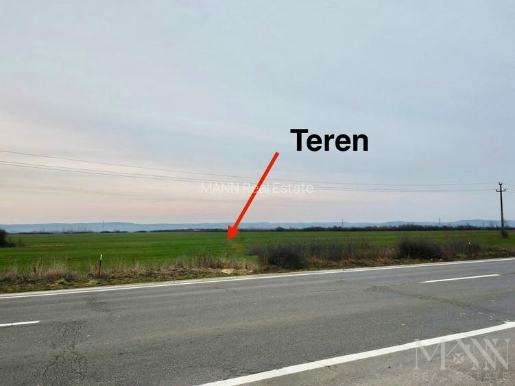 Teren intravilan de vanzare | Acces din DN1, Sacadat, jud. Bihor - 2