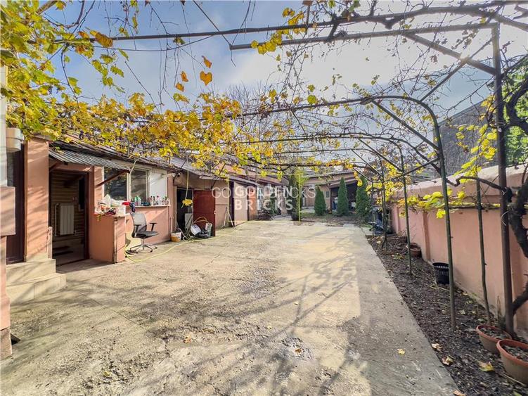 Pache Protopopescu | 8 Camere | Prima inchiriere | Curte | Garaj - 4