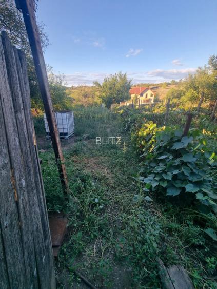 Teren intravilan , 1100mp , front 12,60 m , intrare Filiasi - 7