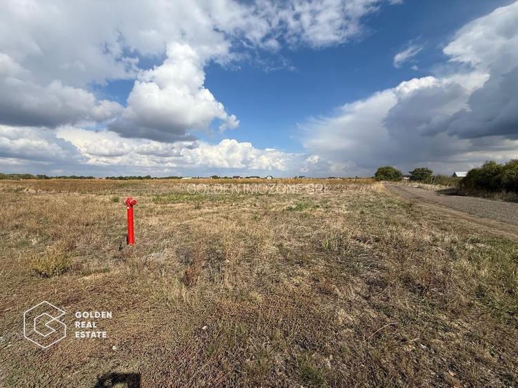 Teren intravilan curti constructii, Sacalaz, Timis - 3