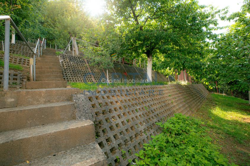 Casa superba zona centrala p+1 Resita - 9