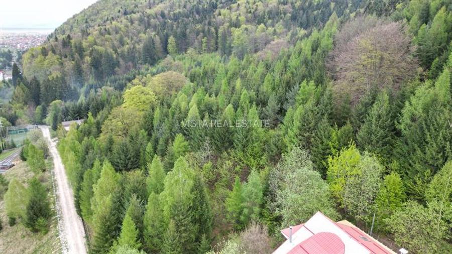 Teren 6500mp Dambu Morii - Bunloc, Brasov - 5