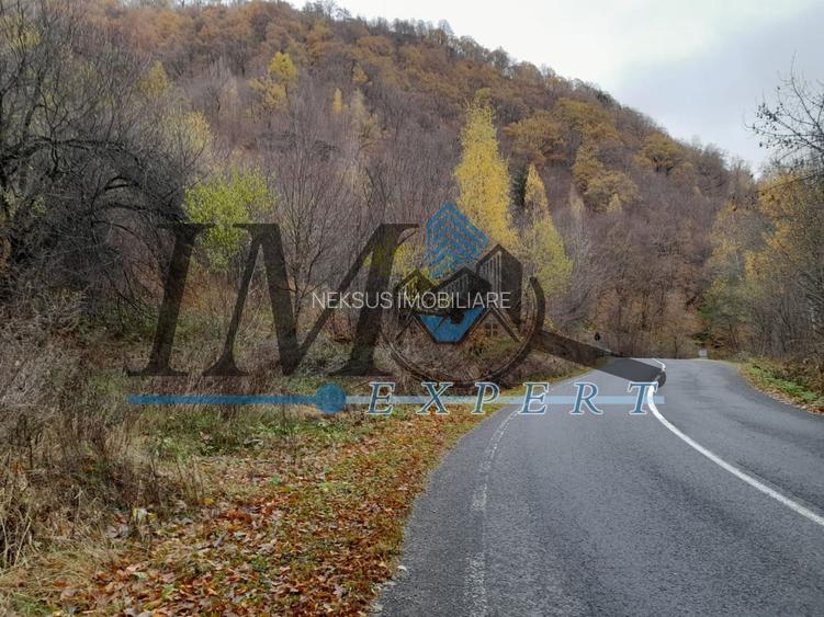 Teren extravilan direct la șoseaua TRANSALPINA - 3