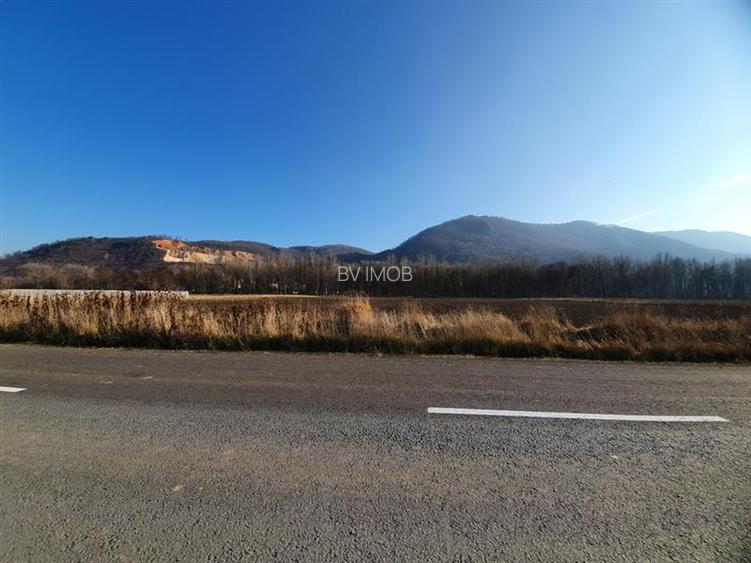 Vanzare Teren intravilan Str. Cucului, zona Bartolomeu 18600 mp - 8