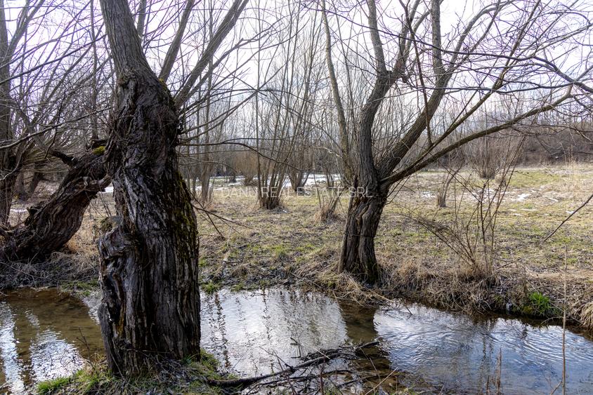 Bran Sohodol, 5967mp+teren bonus, intravilan constructii  P+E+M, comision0% - 4