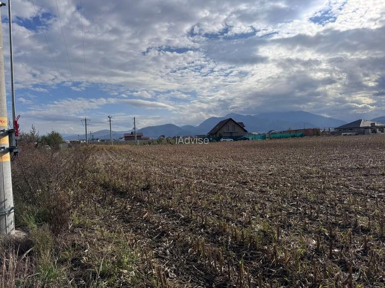 Teren dezvoltare rezidentiala Tarlungeni - zona Izvor - 7