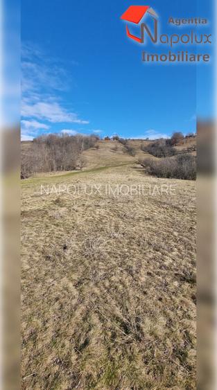 Teren de exceptie 3,1 ha intravilan | Panorama, utilitati, acces dublu | Sard - 2