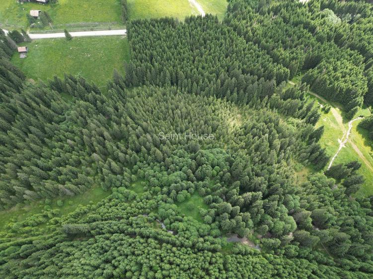 Teren extravilan 5000 MP Comandau - 5