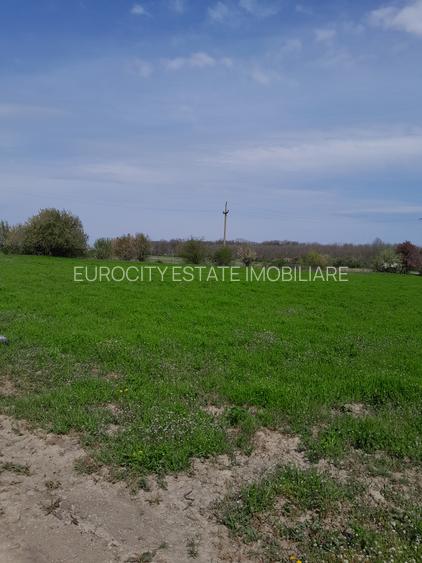 Buftea, teren industrial 16.635 mp, acces paralel cu noua centura - 3