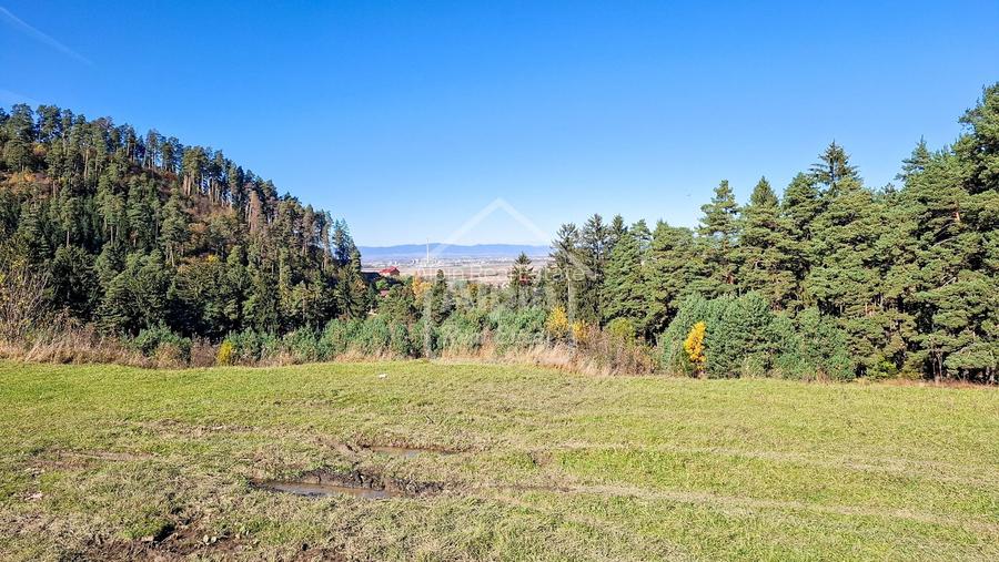 Teren Intavilan I Poiana Angelescu Sacele - 19