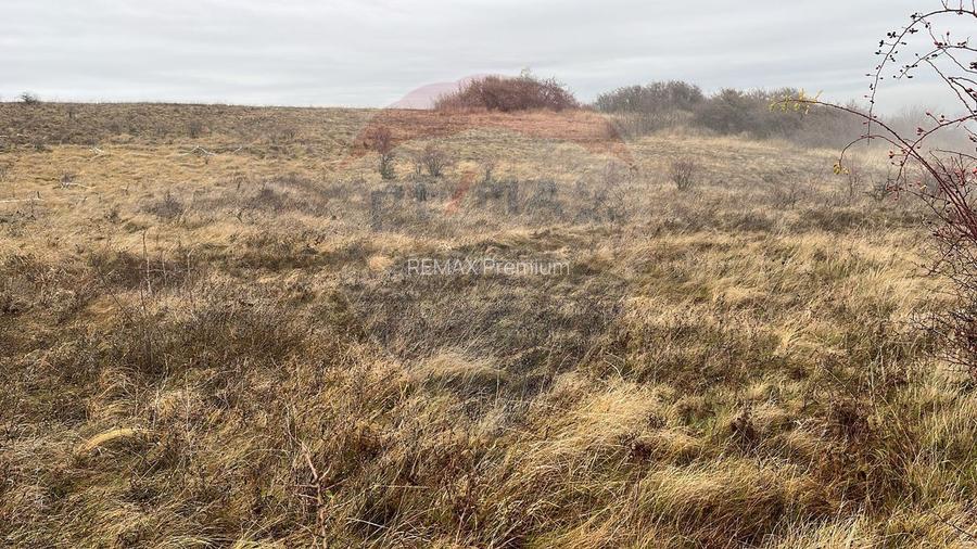 COMISION 0%- Teren 544mp Padureni (Chinteni) / Strada Principala - 5