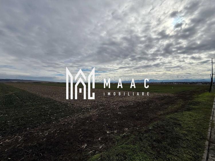 Teren intravilan | 9600 mp | Șură Mică | Utilități | Drum Asfaltat - 4