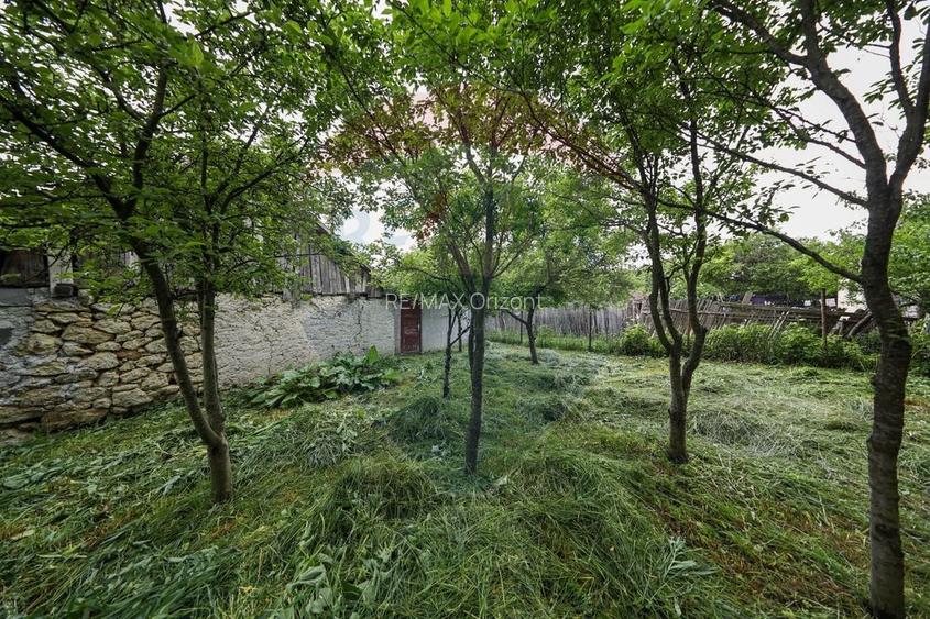 Casă de vacanta, cu annexe si pomi fructiferi, Ungra! - 20