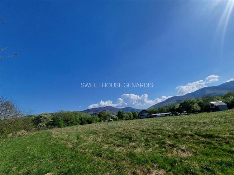 Teren valea Sebesului - 2