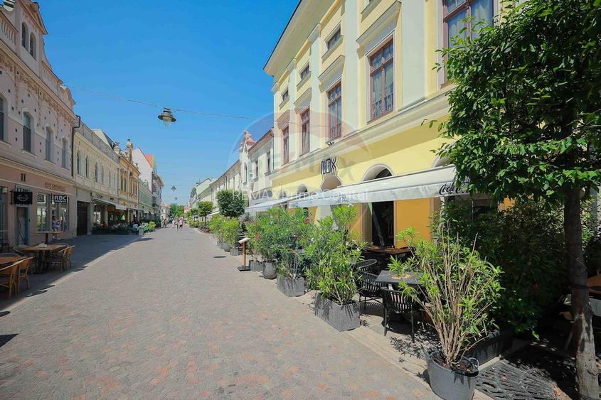 De vânzare — Spațiu comercial parter 409 mp, Vasile Alecsandri - 37