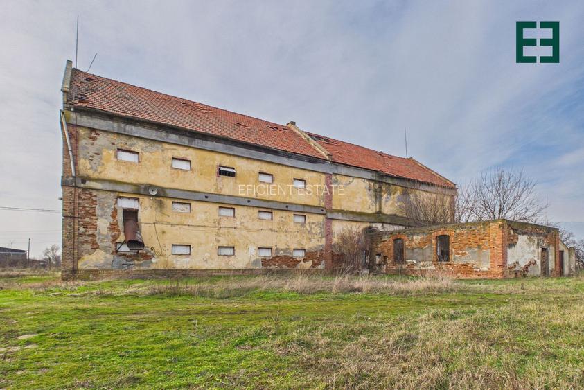 Proprietate industrială + Teren 8.632 - Voiteg - Județul Timiș - 2