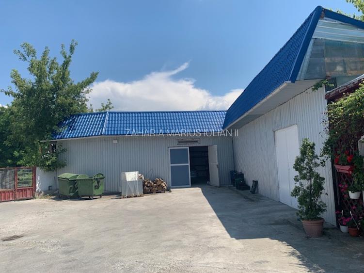 Hale si birouri de inchiriat, str. Constantei, Bacau - 12