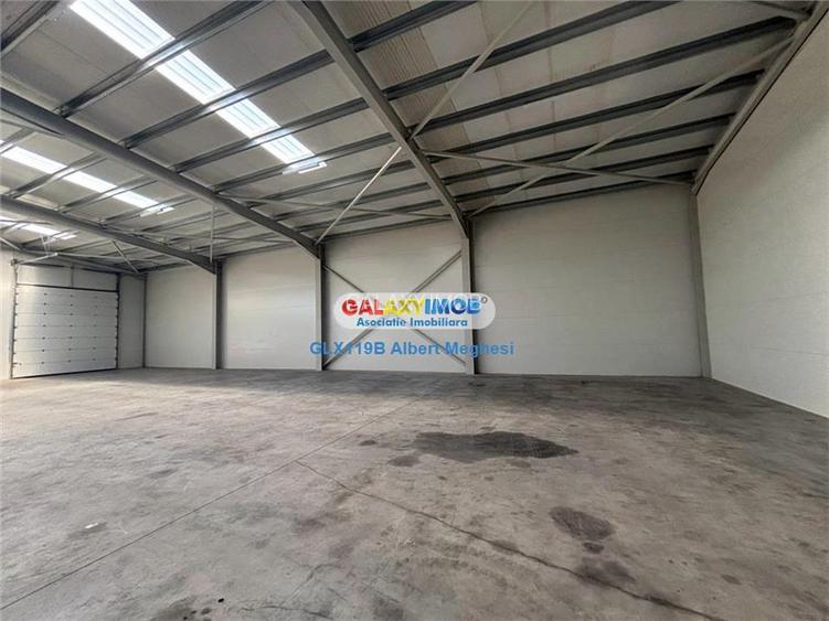 Inchiriere hala depozitare Parc Industrial TBM Rudeni - 4