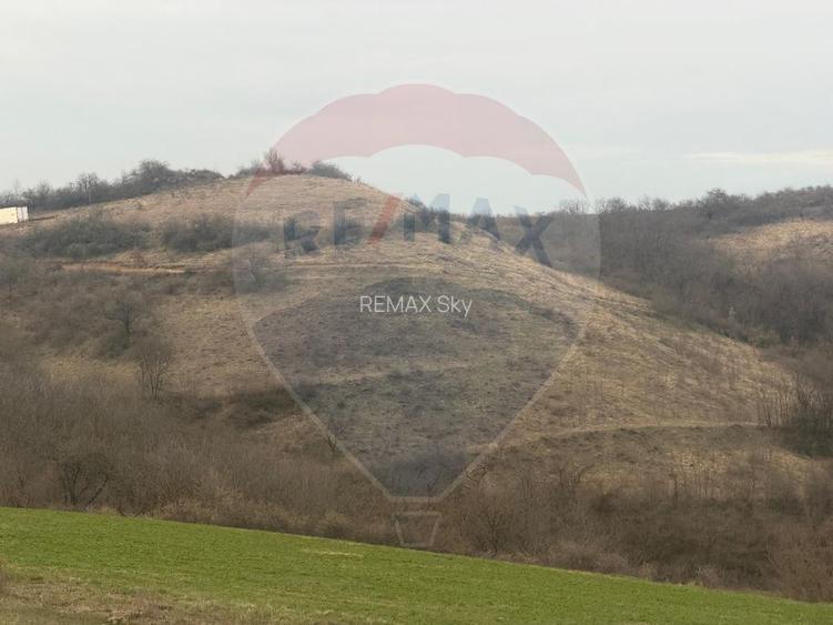 Teren agricol 18.800 mp în Crișeni, lângă Vurpăr - 3