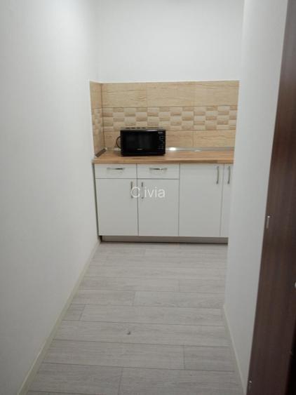 De inchiriat! Apartament cu o camera in Piata Victoriei! - 5