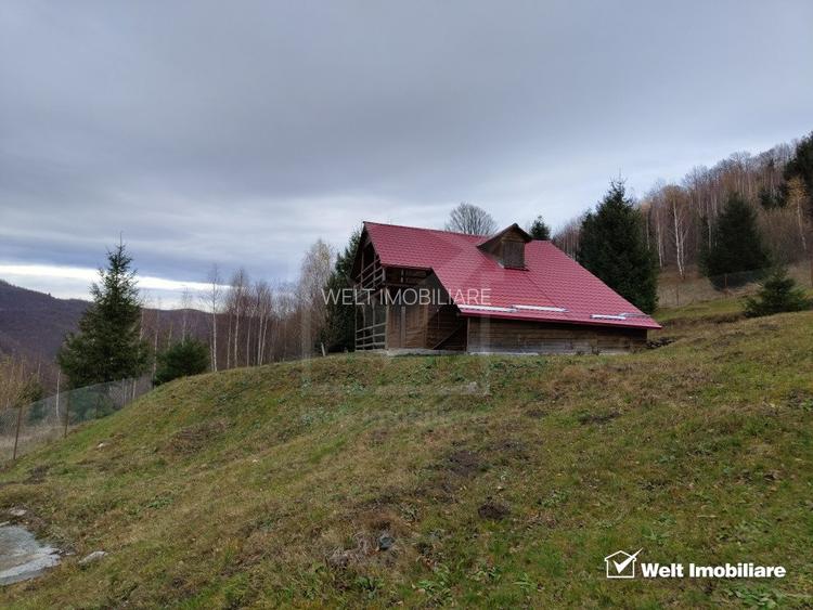 Oportunitate unica! 5ha + 2 cabane de vacanta in Valea Ierii - 4