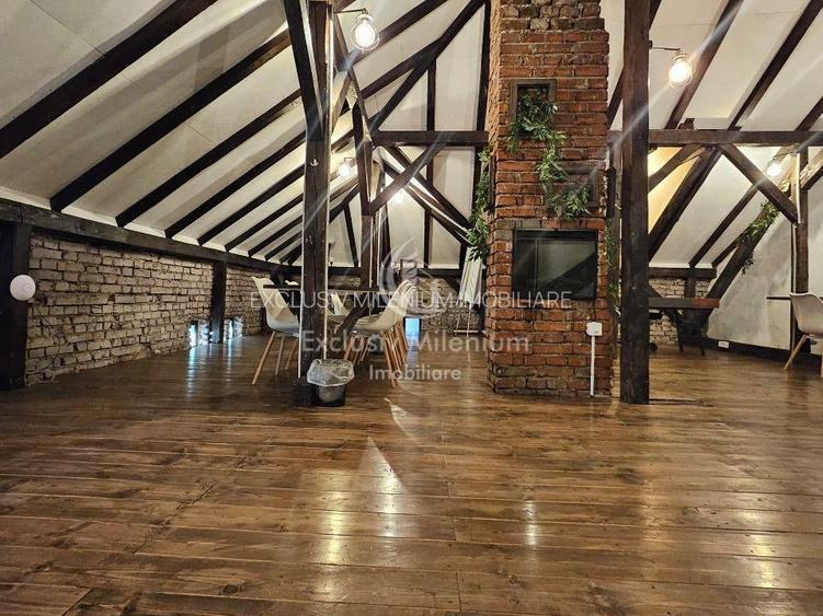 Vila Exclusivista Cișmigiu  - Stirbei Voda Birouri - 3