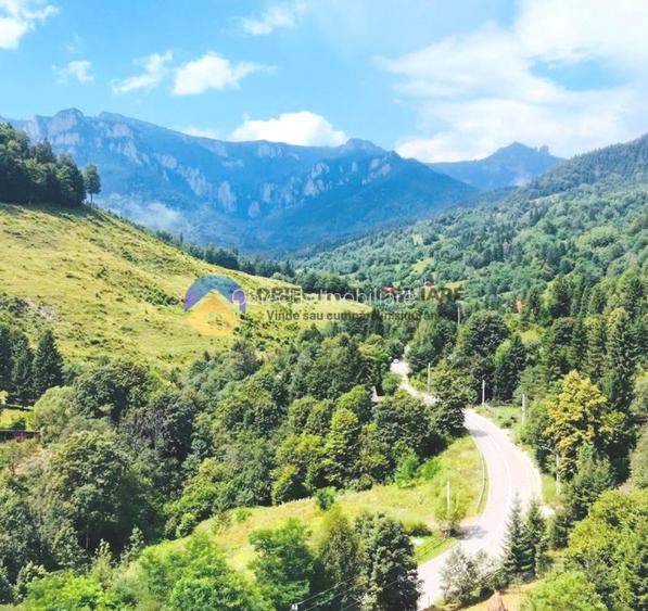  TEREN Izvoru Muntelui, langa orasul  BICAZ - 3